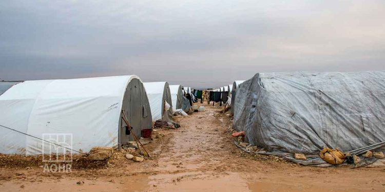 صورة من الارشيف