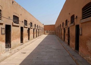 صورة من الارشيف