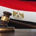 9 منظمات حقوقية تطالب بوقف محاكمة أعضاء التنسيقية المصرية