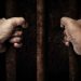 Egypt – Political Detainee Mohamed Gomaa Dies in Abu Zaabal prison