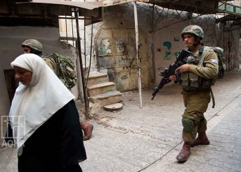 23 Palestinians arrested across the West Bank settlers destroy 170 trees outside Salfit