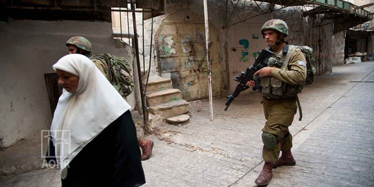 23 Palestinians arrested across the West Bank settlers destroy 170 trees outside Salfit