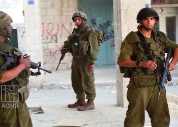 UN top official calls investigation into Israeli violence against Palestinians