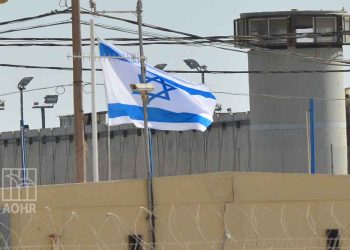 Palestinian Prisoners Continue their Protest Program for 28th Day