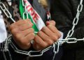 صورة من الارشيف