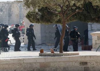 لليوم الثاني على التوالي.. إصابات واعتقالات في اقتحام الاحتلال للمسجد الأقصى