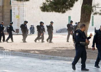 A UN Committee Calls for Holding the Israeli Occupation Accountable for its Violations