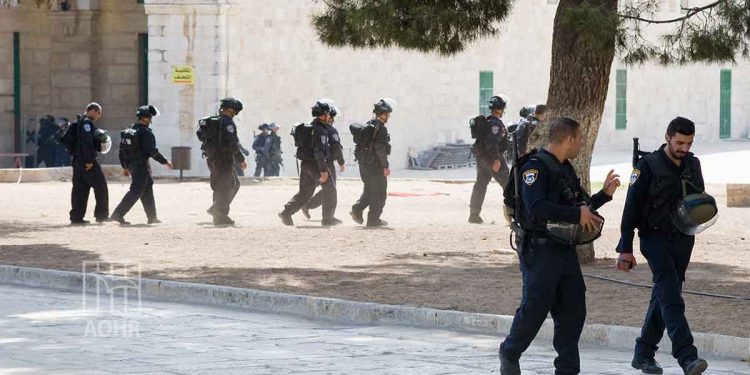 A UN Committee Calls for Holding the Israeli Occupation Accountable for its Violations