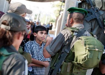 UN experts call on ICC to expedite investigation into Occupied Palestinian Territories