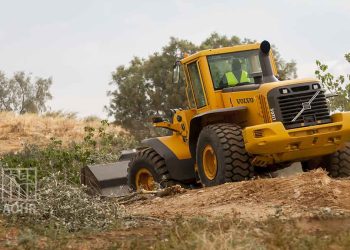 صورة من الارشيف