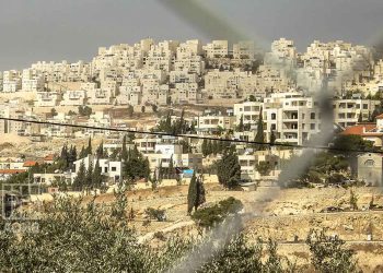 صورة من الارشيف