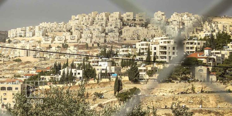 صورة من الارشيف