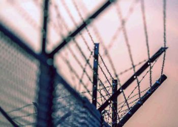 قرار تعسفي بحبس الناشطة السعودية فاطمة الشواربي 30 عاماً