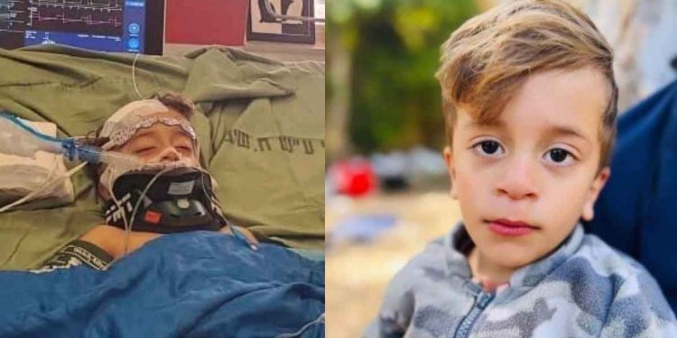 A New Horrific Crime- IOF Targets and Kills a Palestinian Toddler