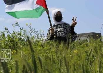 صورة من الارشيف