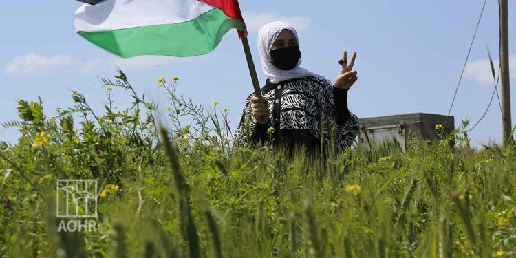 صورة من الارشيف