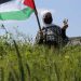 صورة من الارشيف