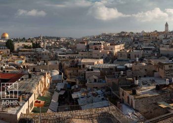 صورة من الارشيف