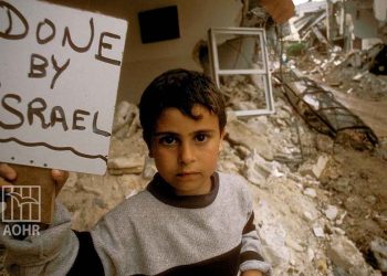 UN Expert: Israeli Air Strikes and Ground Operations in Jenin May Constitute War Crimes