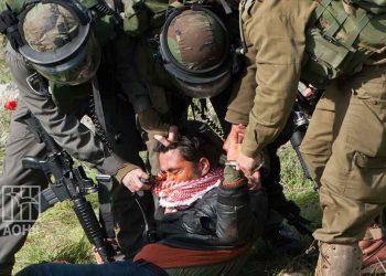 IOF arrests 22 Palestinians in the West Bank including a woman