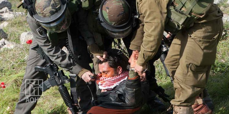 IOF arrests 22 Palestinians in the West Bank including a woman