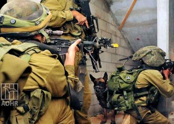 IOF Kills 3 Palestinians in Nablus