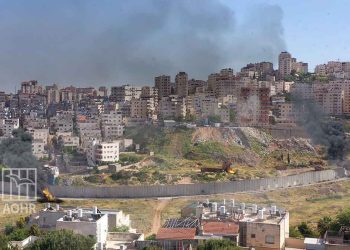 صورة من الارشيف