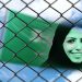 UN Experts Call on Saudi Arabia to Release Two Women Detained over Critical Tweets