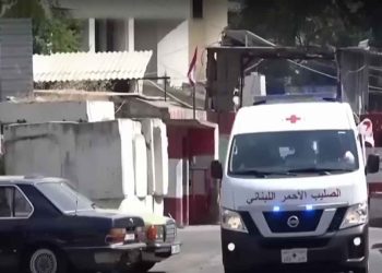 Civil forces in Lebanon Must Ensure Immediate Cease-Fire in Ain Al-Hilwa Camp