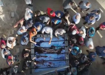 7326 قتيلاً منهم 3038 طفلاً في عدوان الاحتلال على غزة