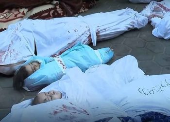 تقرير تفصيلي حول ضحايا العدوان الإسرائيلي في غزة