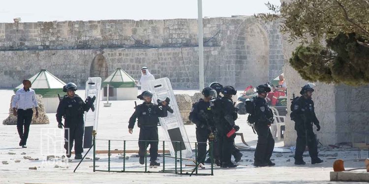 صورة من الارشيف