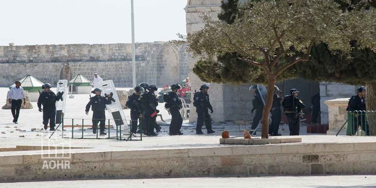 صورة من الارشيف