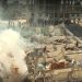 Gaza Death Toll Surges to 3,785 as Israeli Occupation Escalates its Aggression