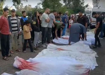 غزة: جرائم الاحتلال تستوجب وقفة إنسانية عالمية