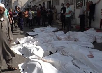 1900 قتيل و7696 جريحاً في عدوان الاحتلال الإسرائيلي على غزة