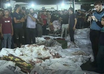 Gaza: International Humanitarian action against the ongoing crimes of the Israeli occupation is neededv