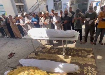 1537 قتيلاً منهم 500 طفل في عدوان الاحتلال الإسرائيلي على غزة