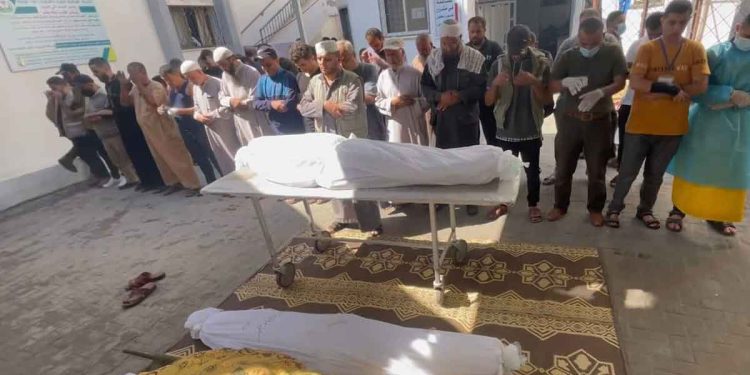 1537 قتيلاً منهم 500 طفل في عدوان الاحتلال الإسرائيلي على غزة