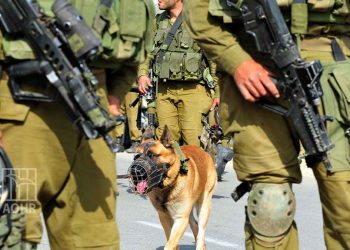 52 Palestinians Arrested in IOF West Bank Raids