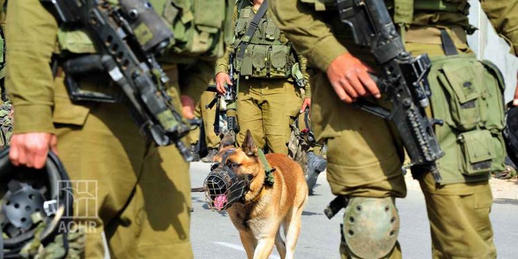 صورة من الارشيف