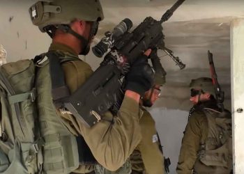 صورة من الارشيف