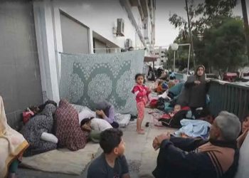 Gaza Calls on the “Free World” to Stop Israeli Crimes Against Civilians