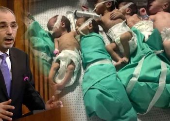 وزير الخارجية الأردني يكذب ويمارس الردح في الإعلام تفاديا لنقمة الشعب الأردني
