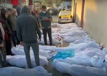 Gaza death toll surges to 12,000 as Israeli bloody war intensifies