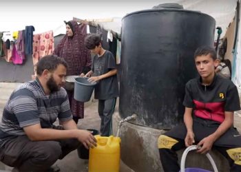 WFP: Food systems in Gaza are collapsing