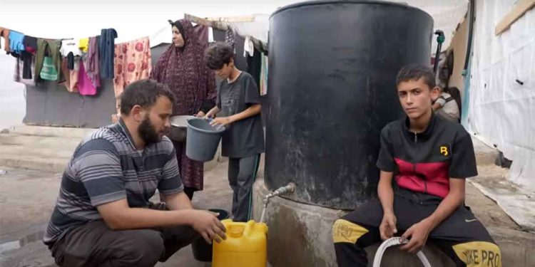 WFP: Food systems in Gaza are collapsing
