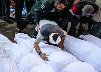 الاحتلال الإسرائيلي يواصل حرب الإبادة التي يشنها على قطاع غزة