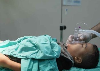 On 42nd Day of the Israeli Aggression on Gaza, the Massacres Continue