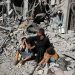 Cataclysm in Gaza: Over 13,000 Palestinians Perish in Occupation-Driven Genocide